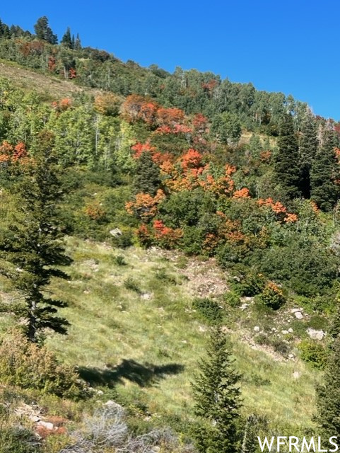 ROCK LOFT RIDGE ESTA - Land