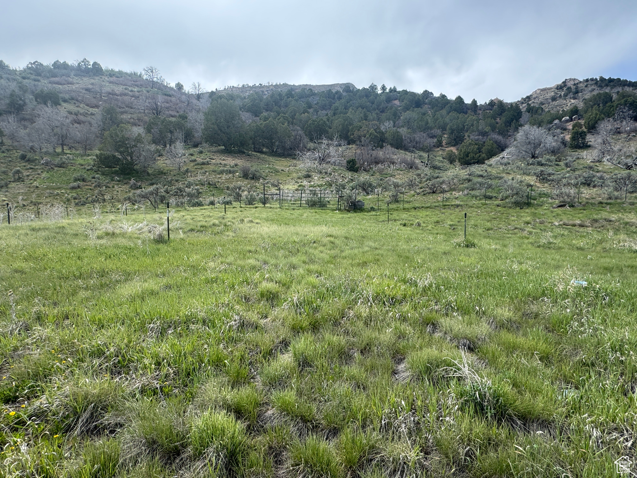 14048 S Highway 89, Spanish Fork, Utah image 41