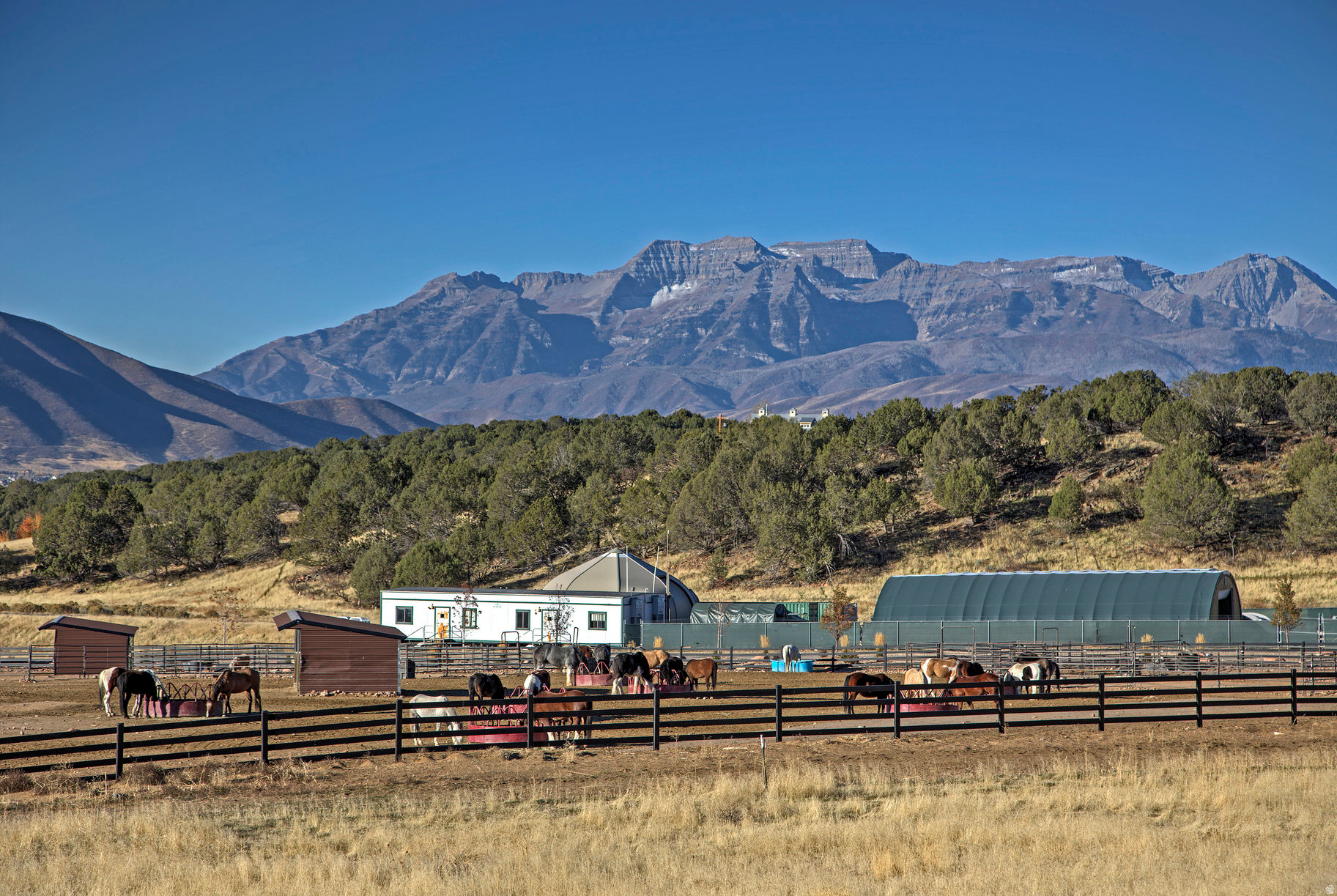 COTTAGE AT RED LEDGES - Residential