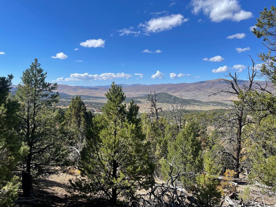 Valley views with room to roam on this 30 acre parcel in Panorama Woods subdivision. This property is not in an HOA. Panorama Woods has a voluntary $150 fee per year that is used to maintain the roads and springs. There are 2 springs in the area for water. Buyer and buyers agent to verify all. Agent is related to Seller