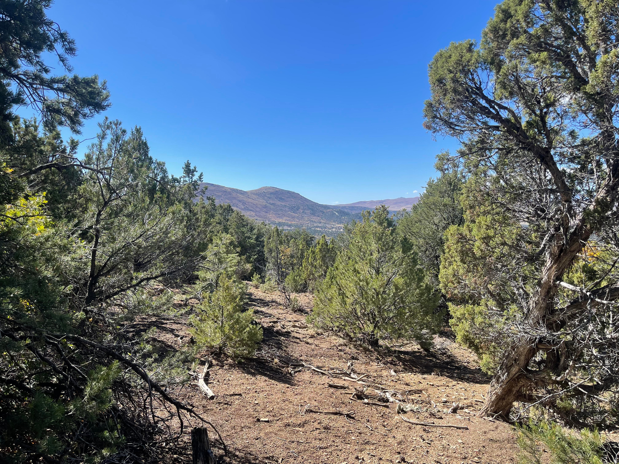 PANORAMA WOODS - Land