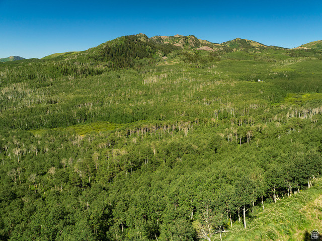 BRIGHTON ESTATES - Land