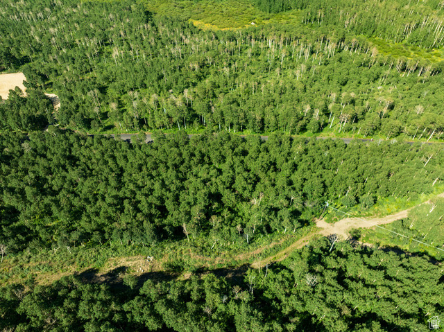 BRIGHTON ESTATES - Land