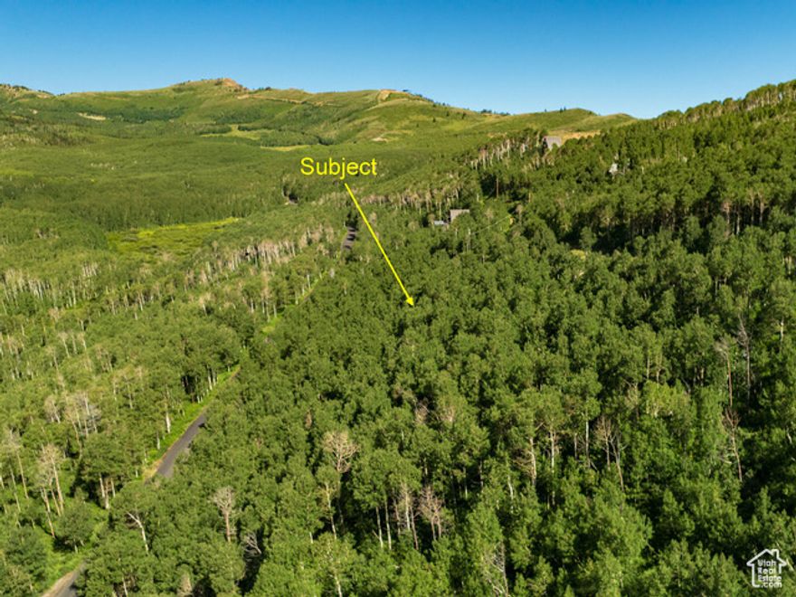Endless Wasatch Back Views. Easy seasonal access from Pine Canyon Road. Power at the top and bottom of the lot. Water Share is with Deep Water Drilling but can be converted to stand alone to drill a well. Call for details.
