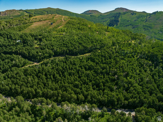 BRIGHTON ESTATES - Land