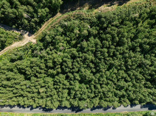 BRIGHTON ESTATES - Land