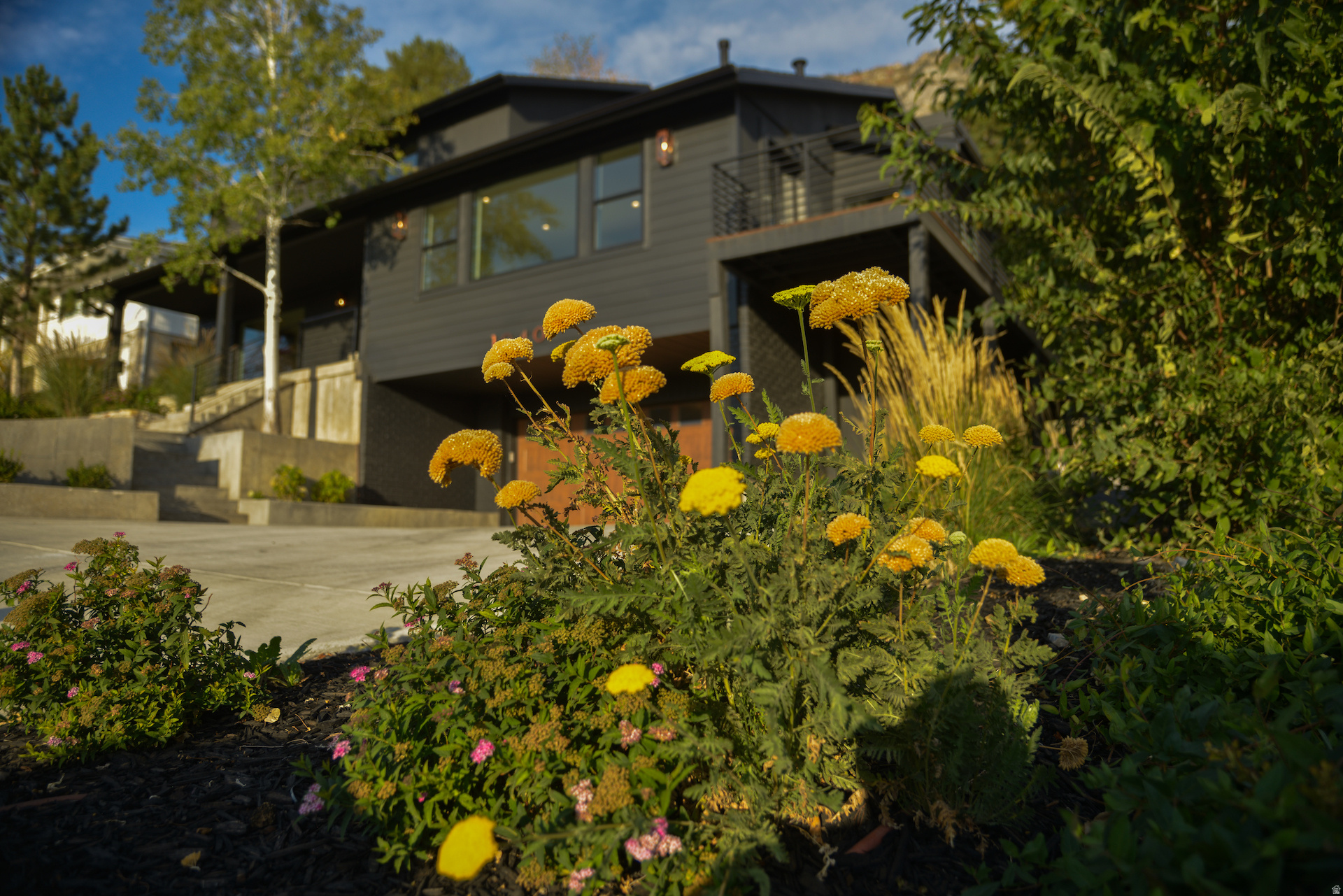 OAK CLIFF - Residential