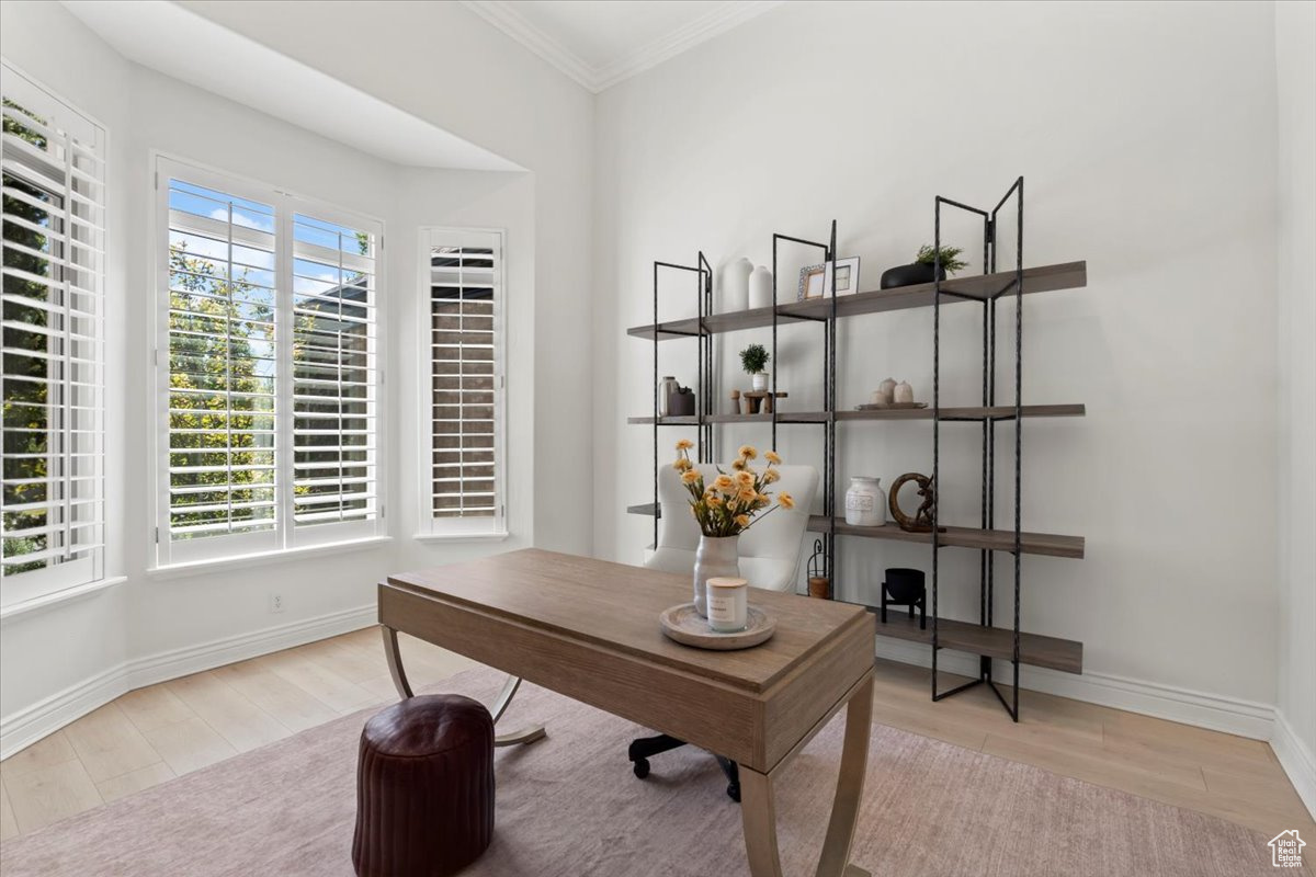 HIGHLAND MEADOW - Residential