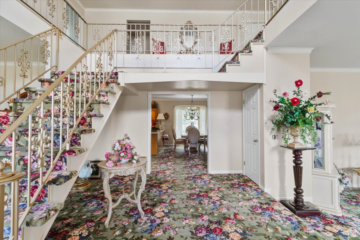 YOUNG PROPERTY - Residential