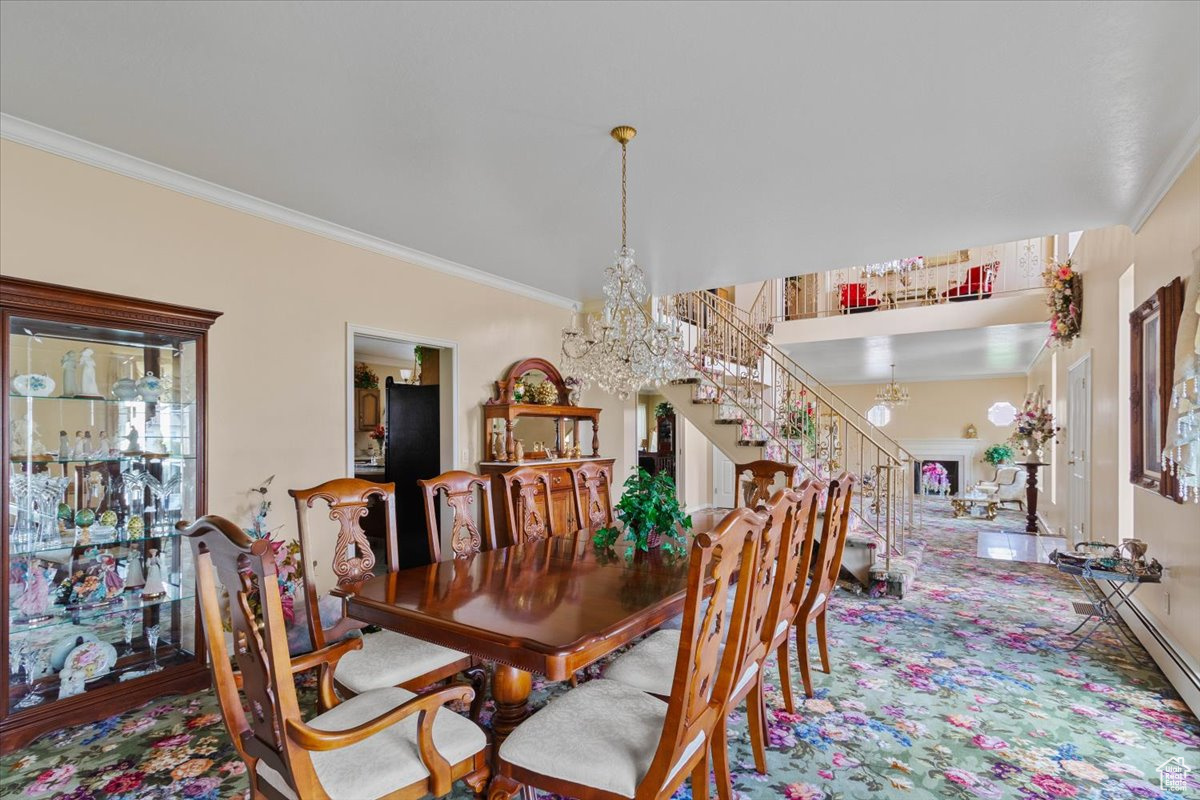 YOUNG PROPERTY - Residential