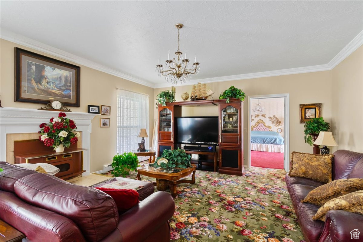 YOUNG PROPERTY - Residential