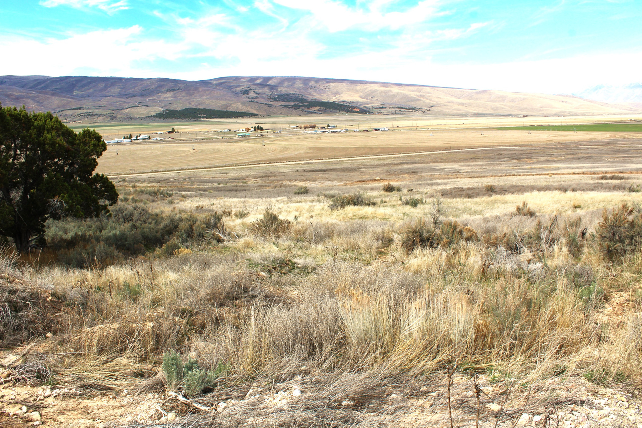 BLACKHAWK MOUNTAIN ESTATES - Land