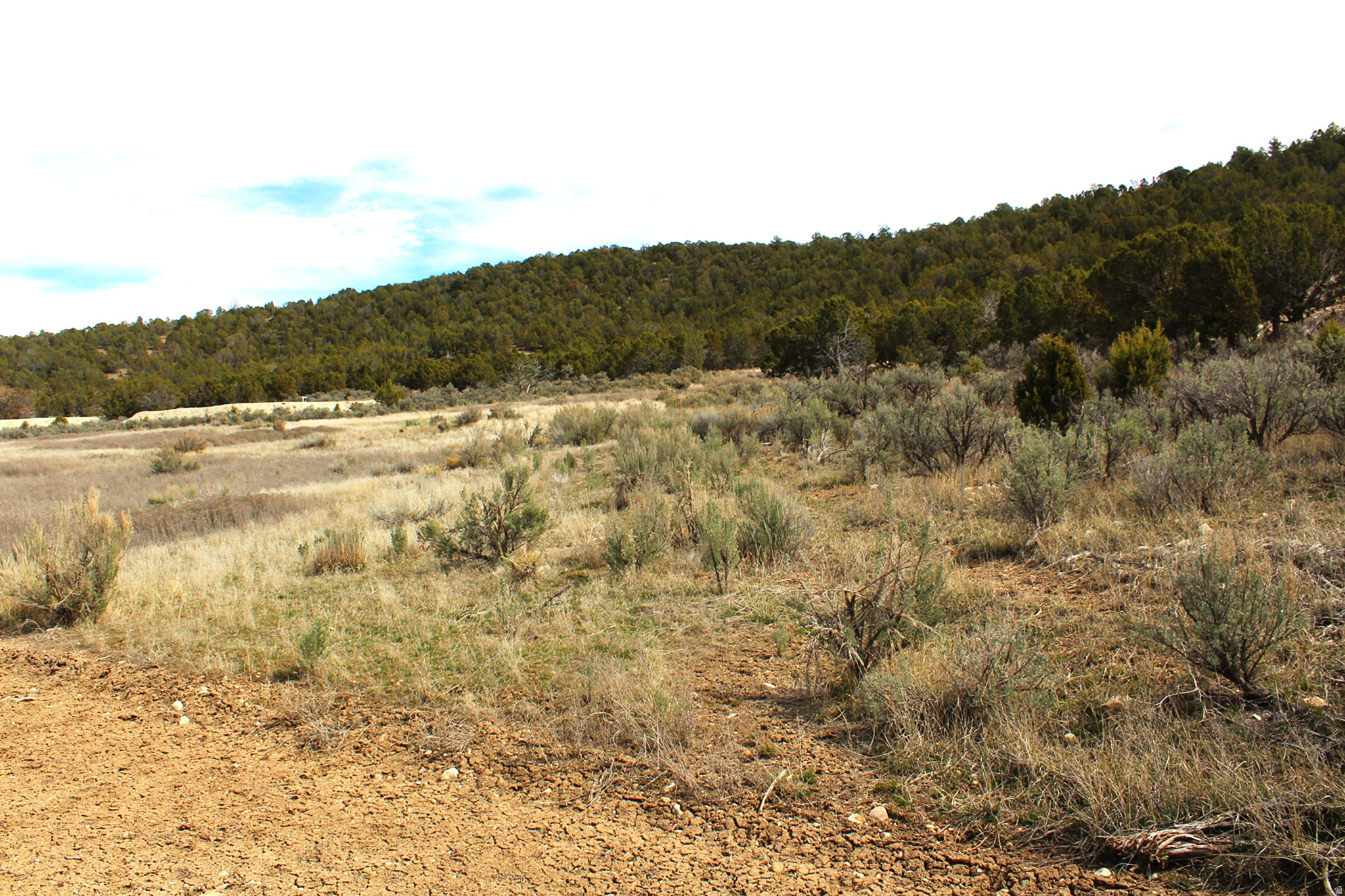 BLACKHAWK MOUNTAIN ESTATES - Land