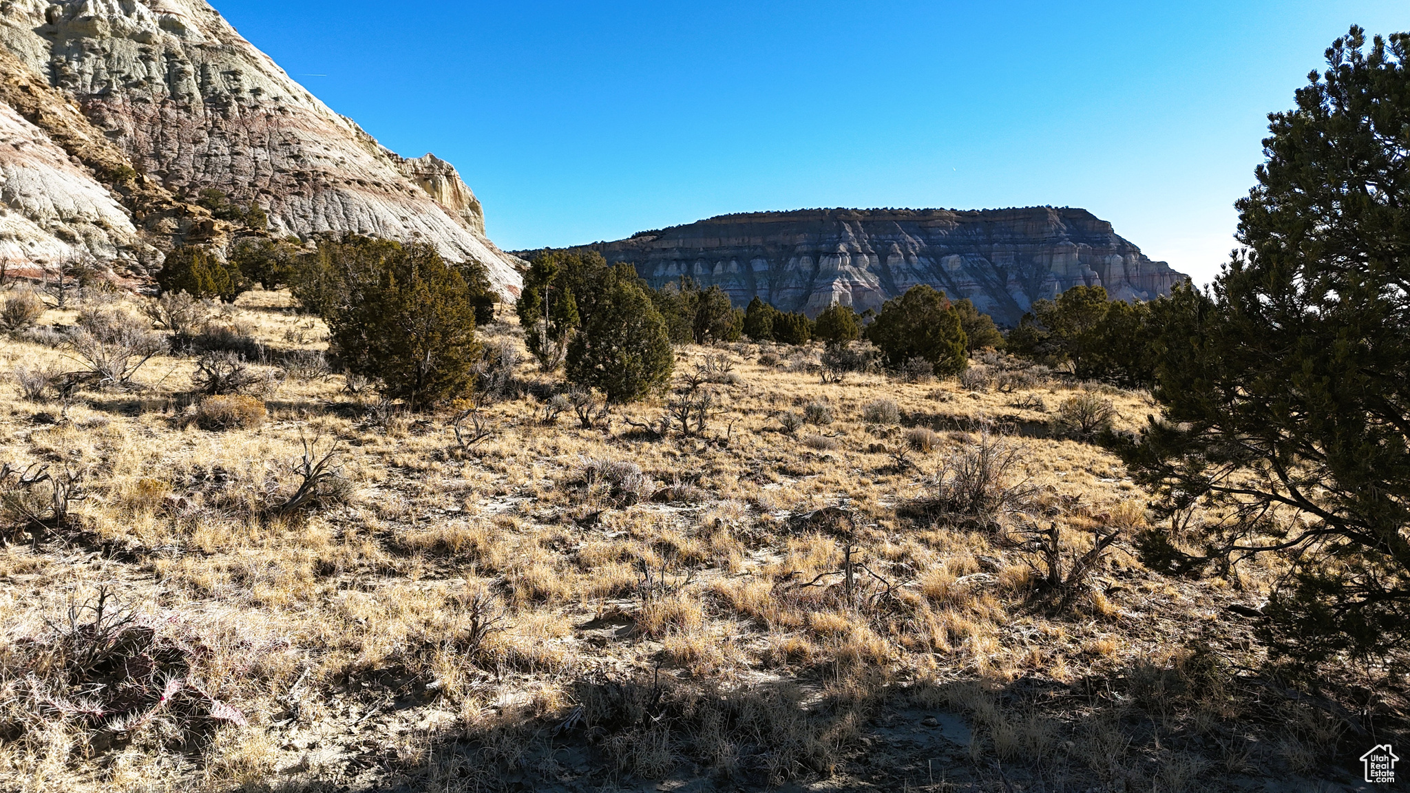 Land, Cannonville, Utah image 29