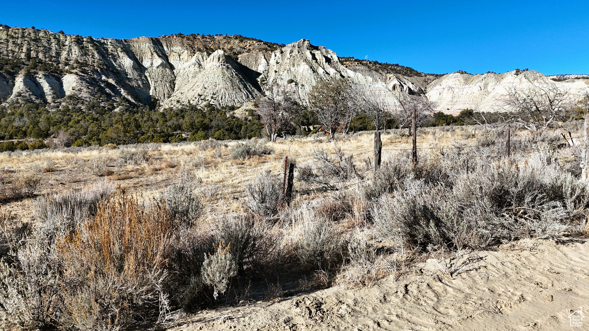 Land, Cannonville, Utah image 35