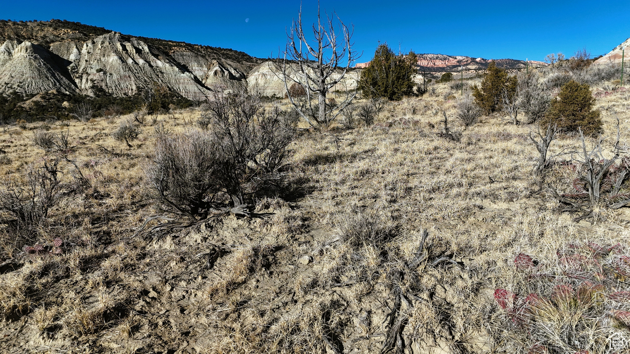 Land, Cannonville, Utah image 28