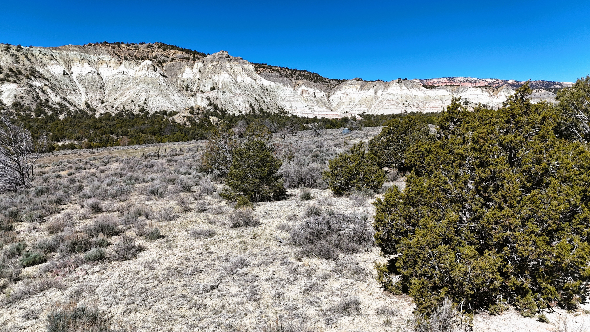 Land, Cannonville, Utah image 21