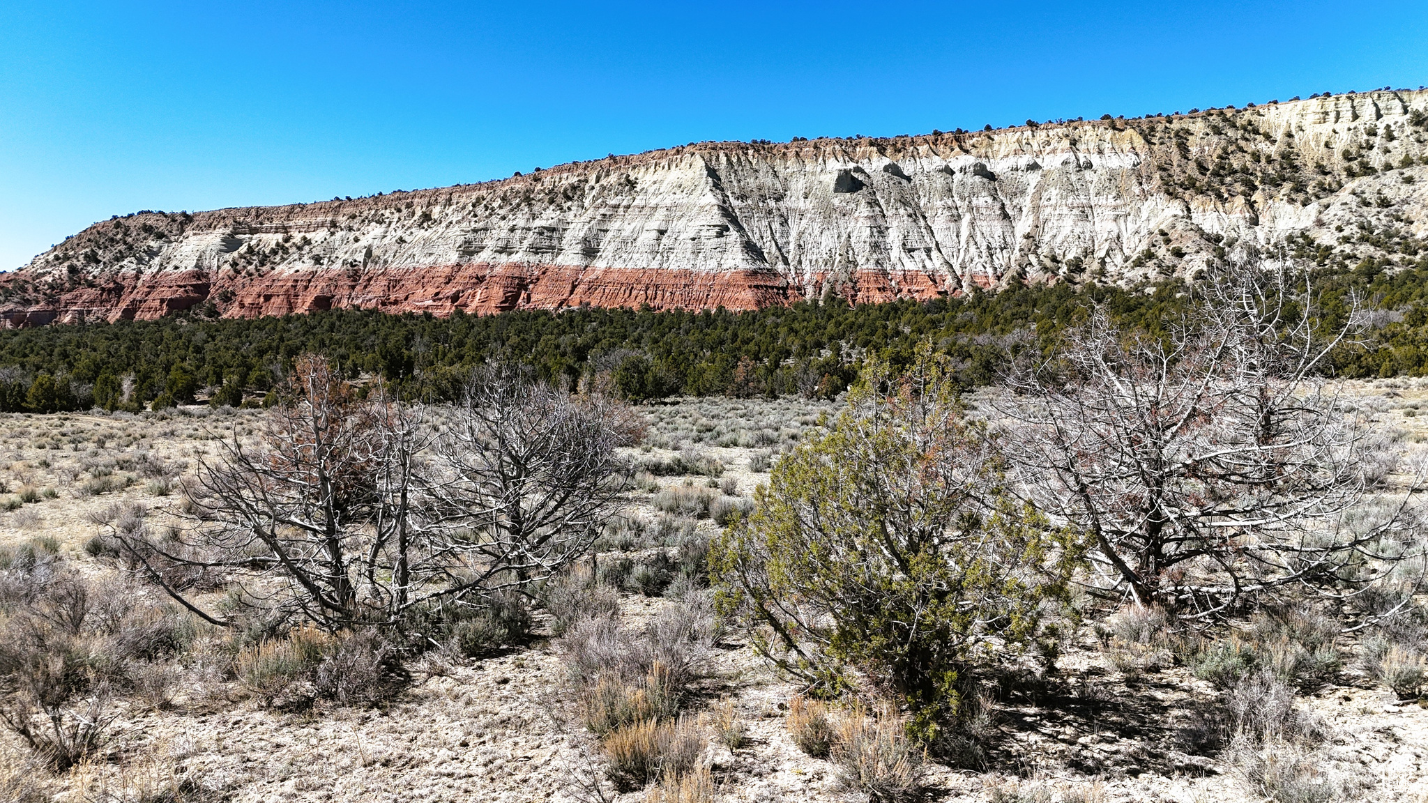 Land, Cannonville, Utah image 20