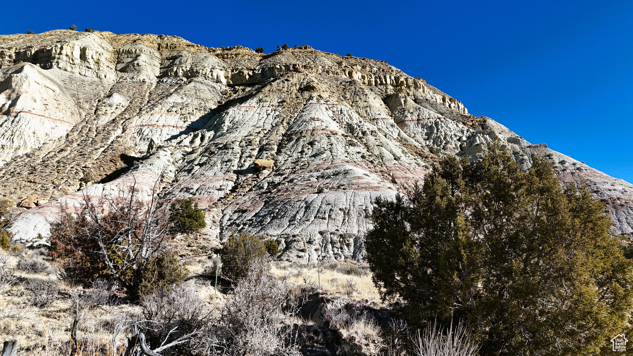 Land, Cannonville, Utah image 25