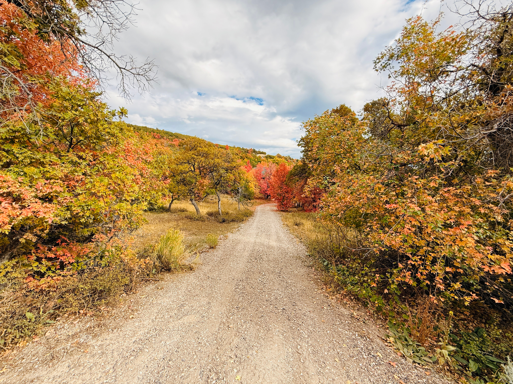 SKYLINE MOUNTAIN RESORT - Land