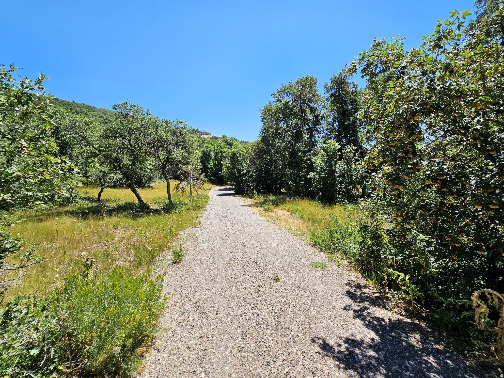 SKYLINE MOUNTAIN RESORT - Land