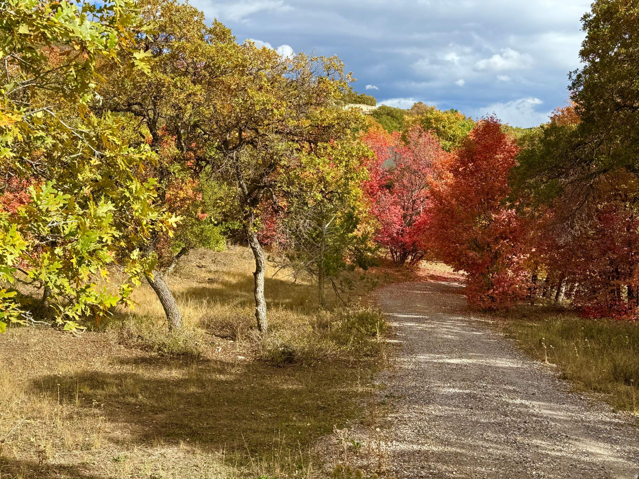 SKYLINE MOUNTAIN RESORT - Land