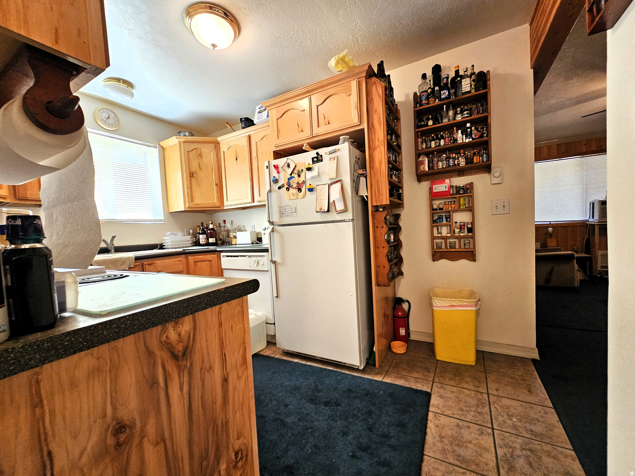 SKYLINE MOUNTAIN RESORT - Land