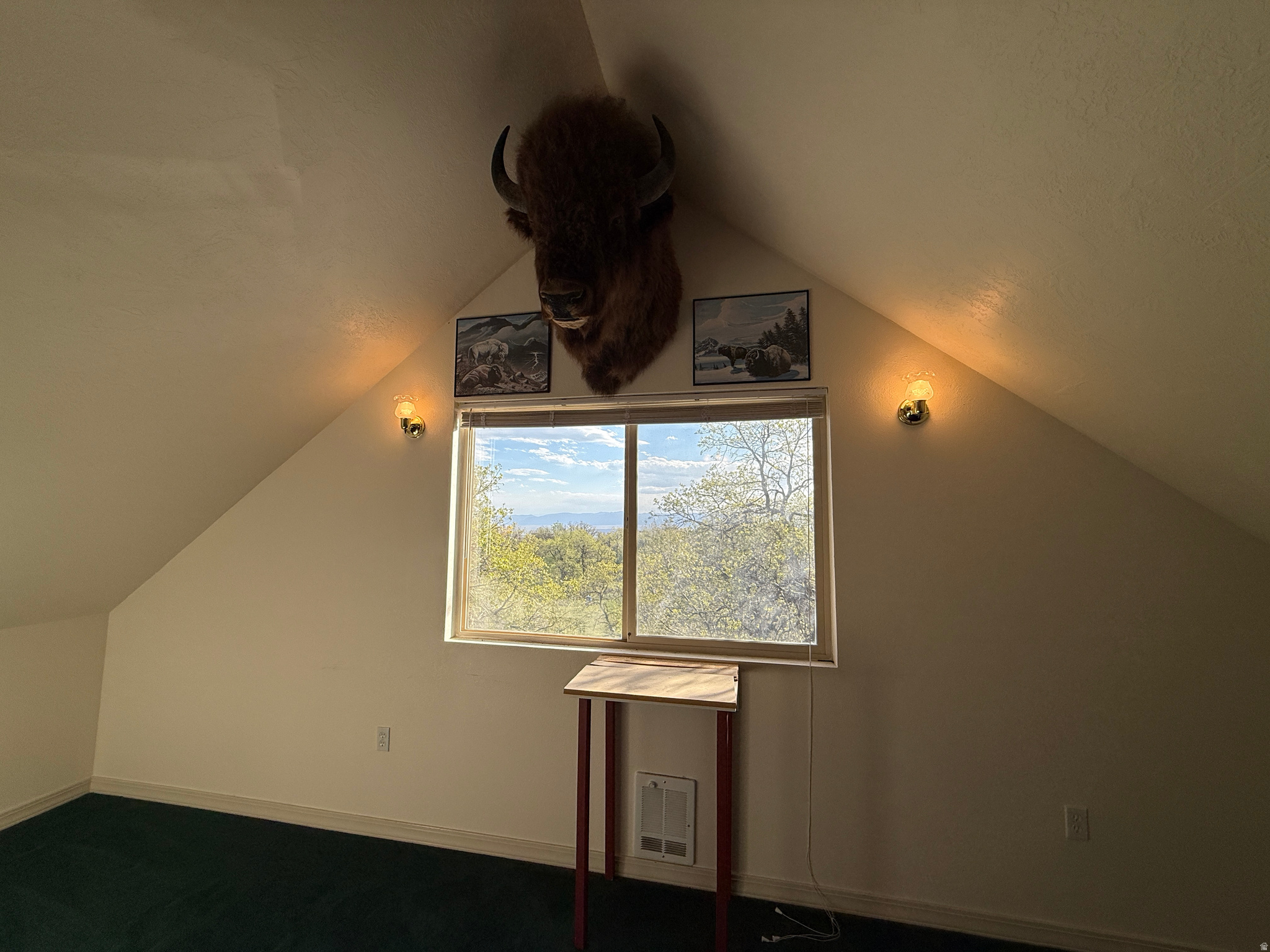 SKYLINE MOUNTAIN RESORT - Land