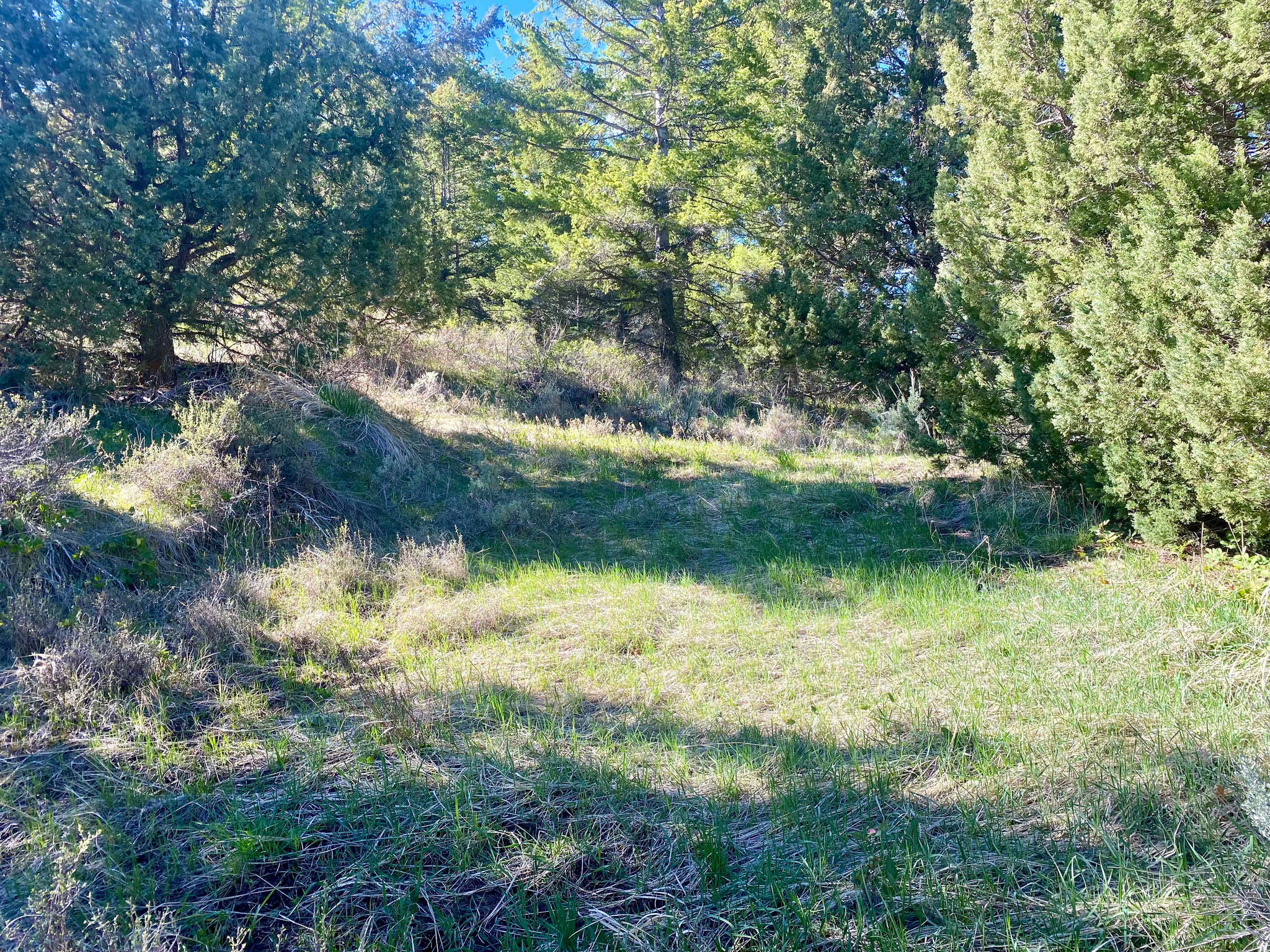 LAVA RANCH PHASE 5 - Land