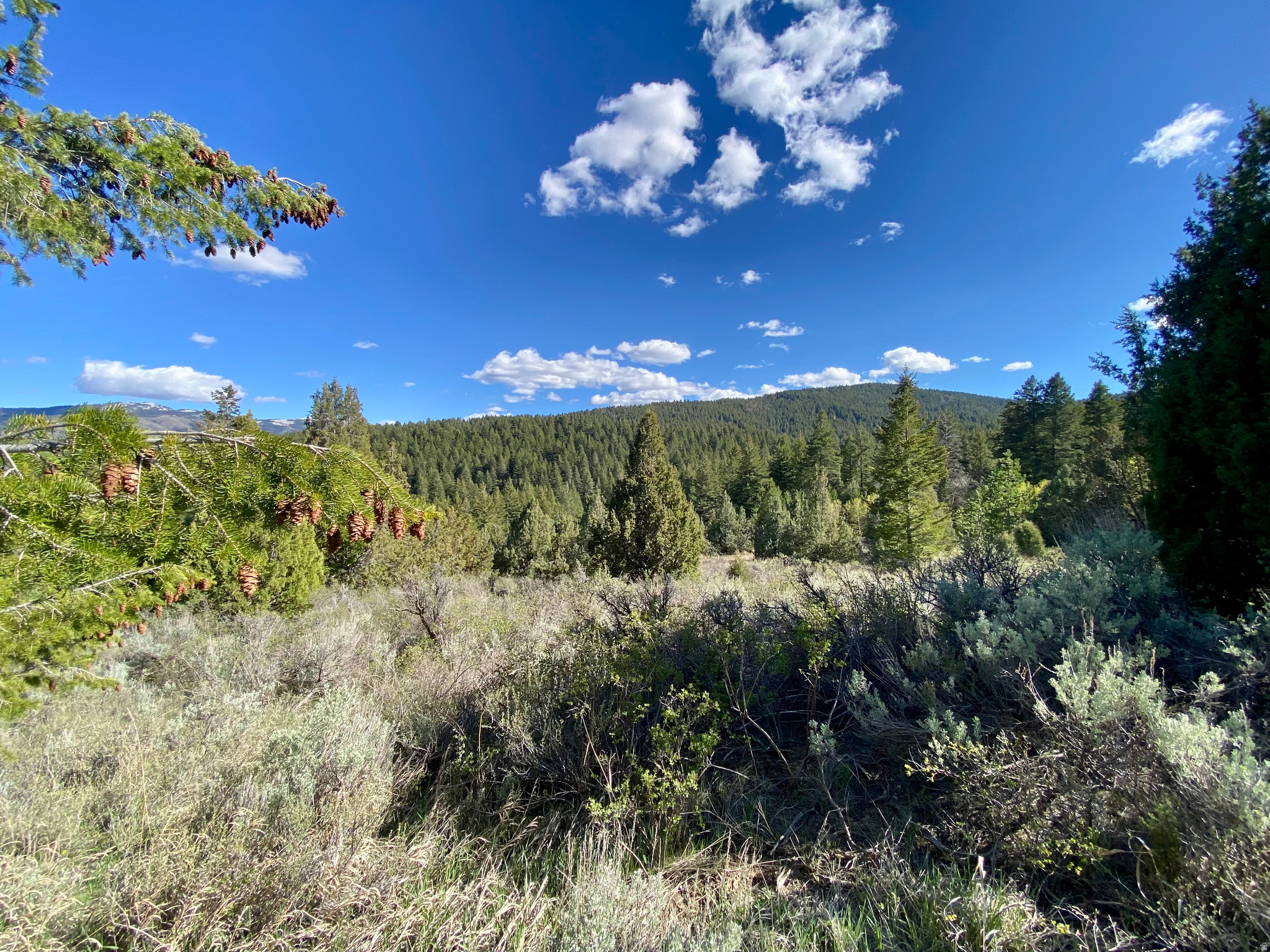 LAVA RANCH PHASE 5 - Land