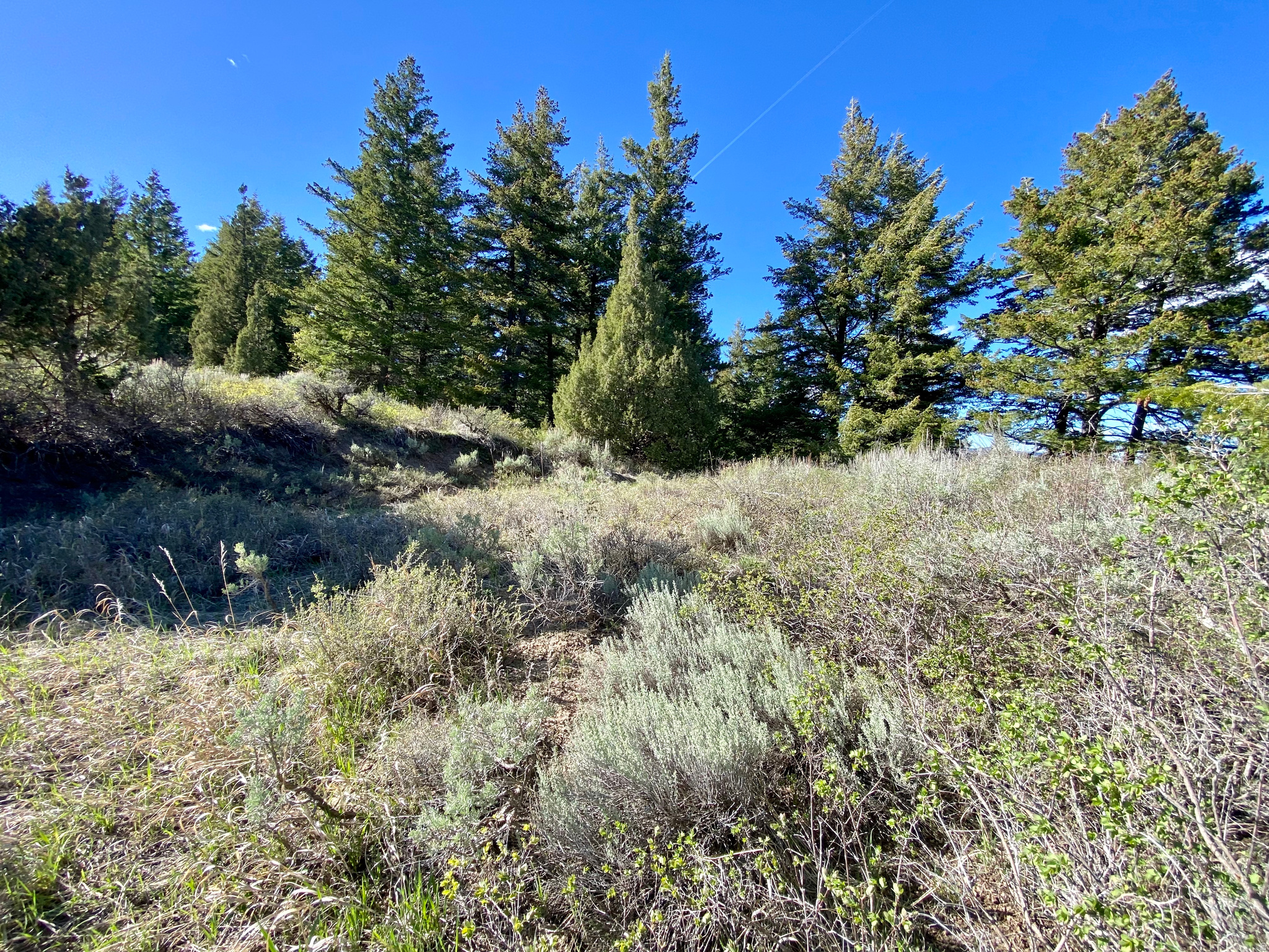 LAVA RANCH PHASE 5 - Land