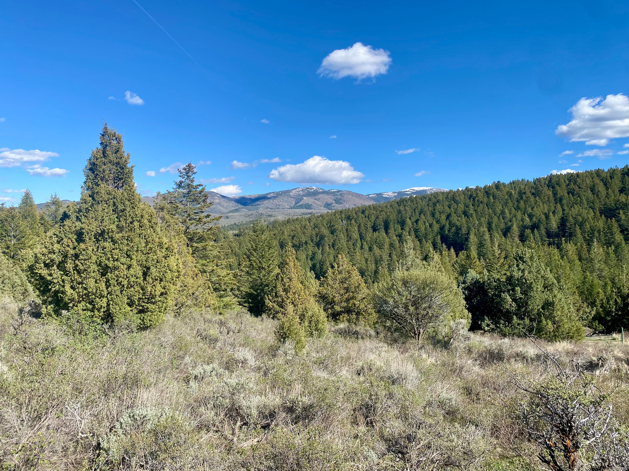 LAVA RANCH PHASE 5 - Land