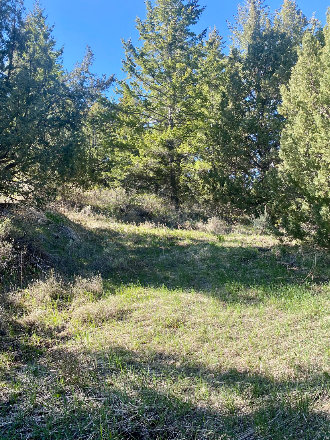 LAVA RANCH PHASE 5 - Land