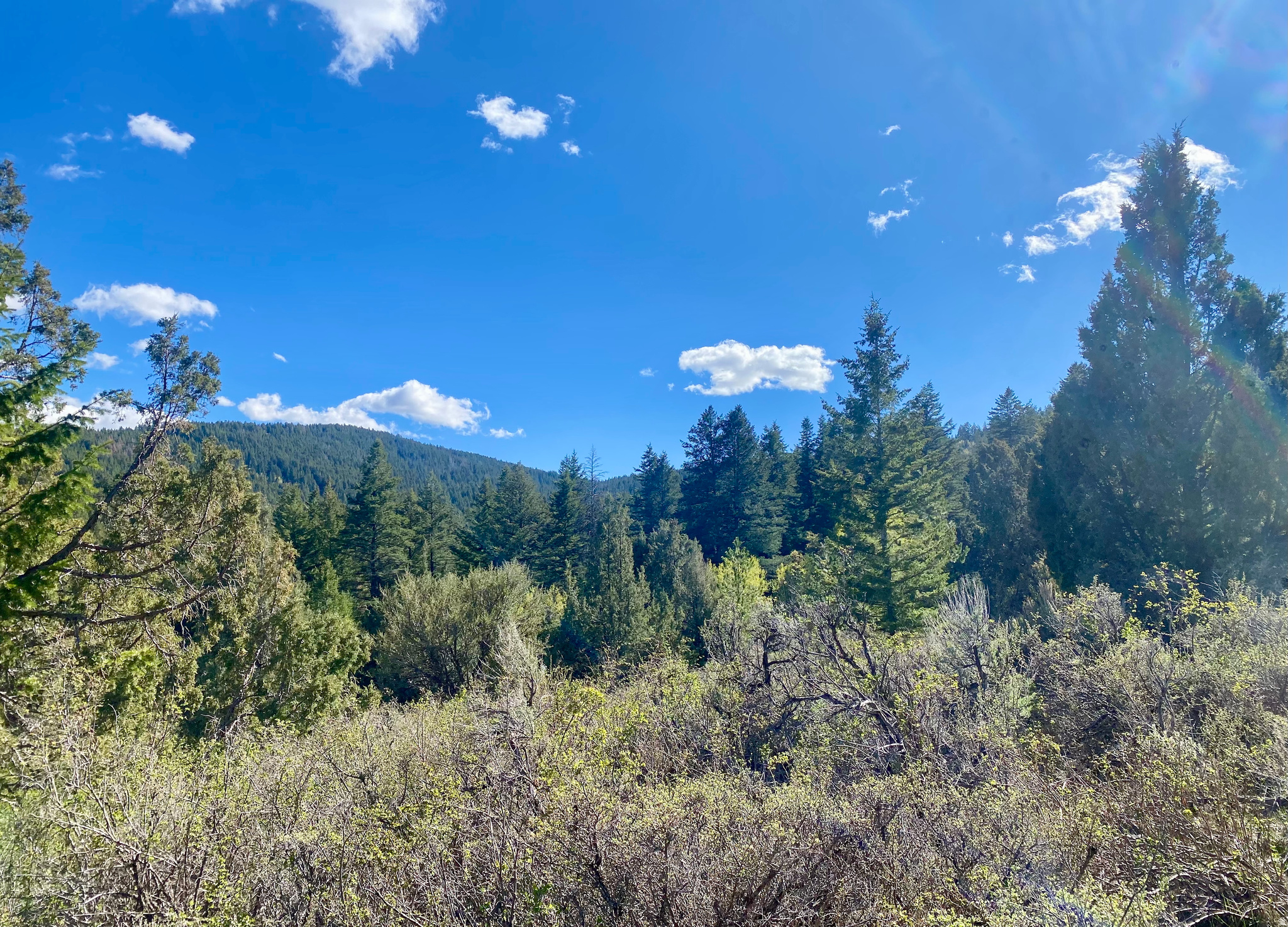 LAVA RANCH PHASE 5 - Land