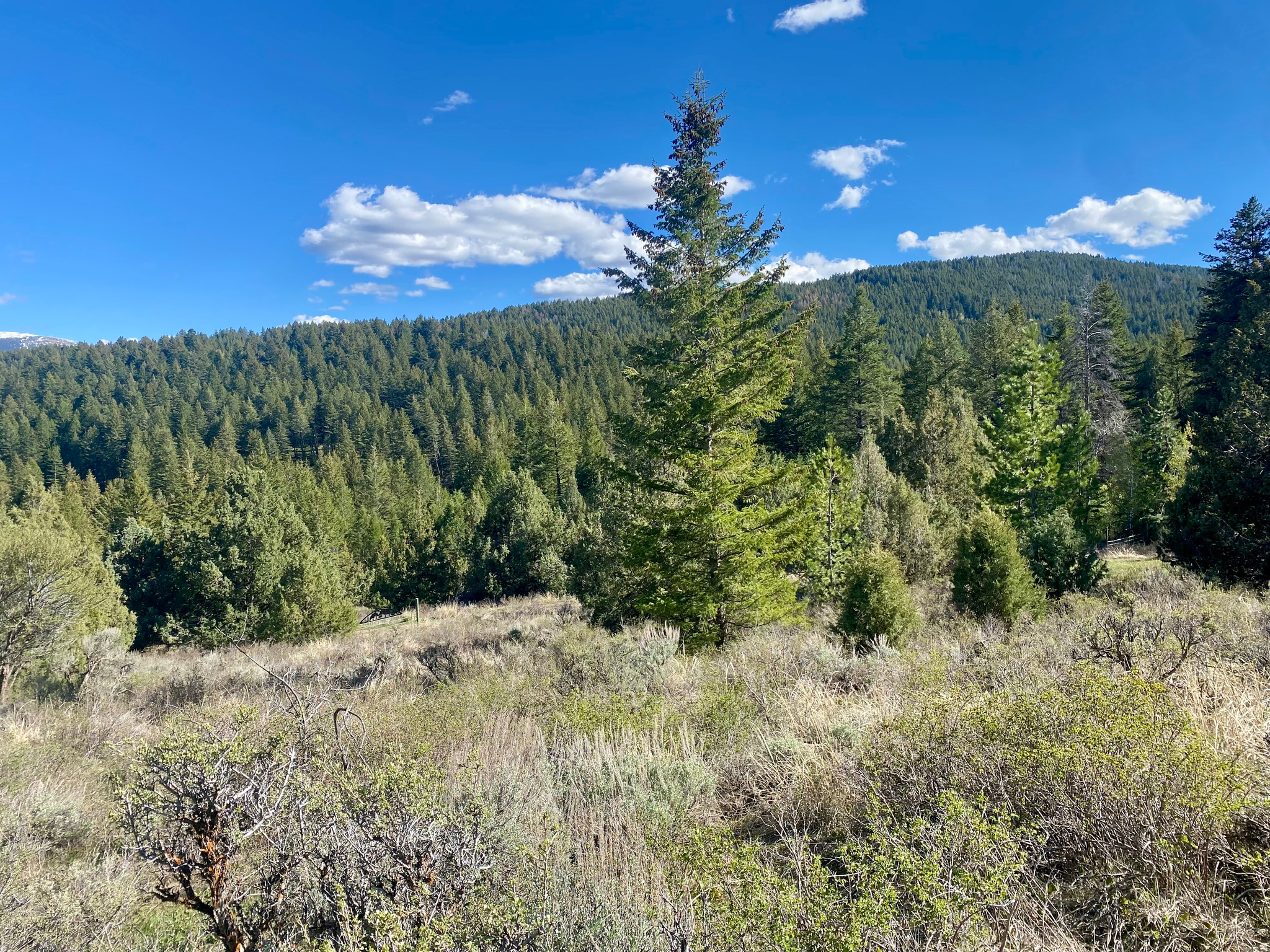 LAVA RANCH PHASE 5 - Land