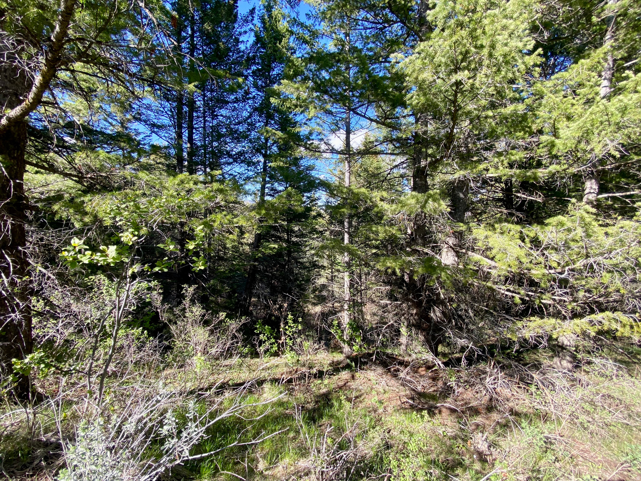 LAVA RANCH PHASE 5 - Land