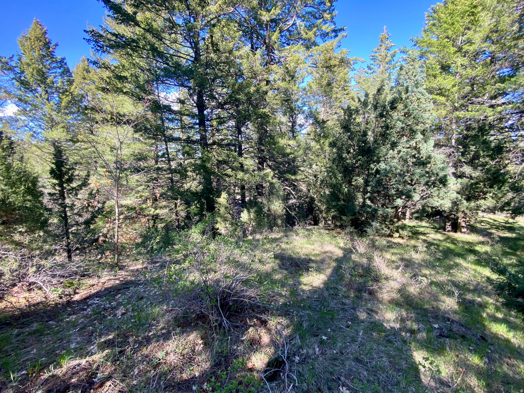 LAVA RANCH PHASE 5 - Land