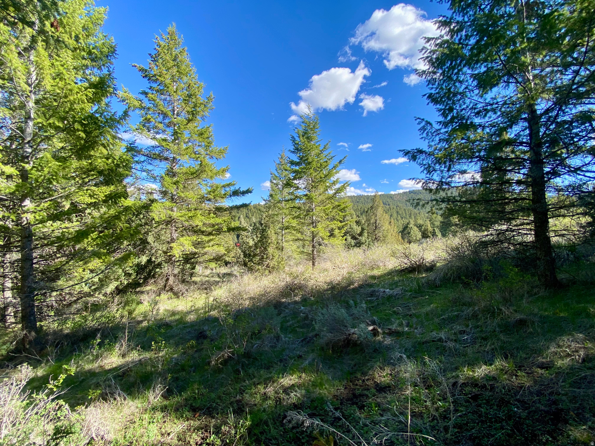 LAVA RANCH PHASE 5 - Land