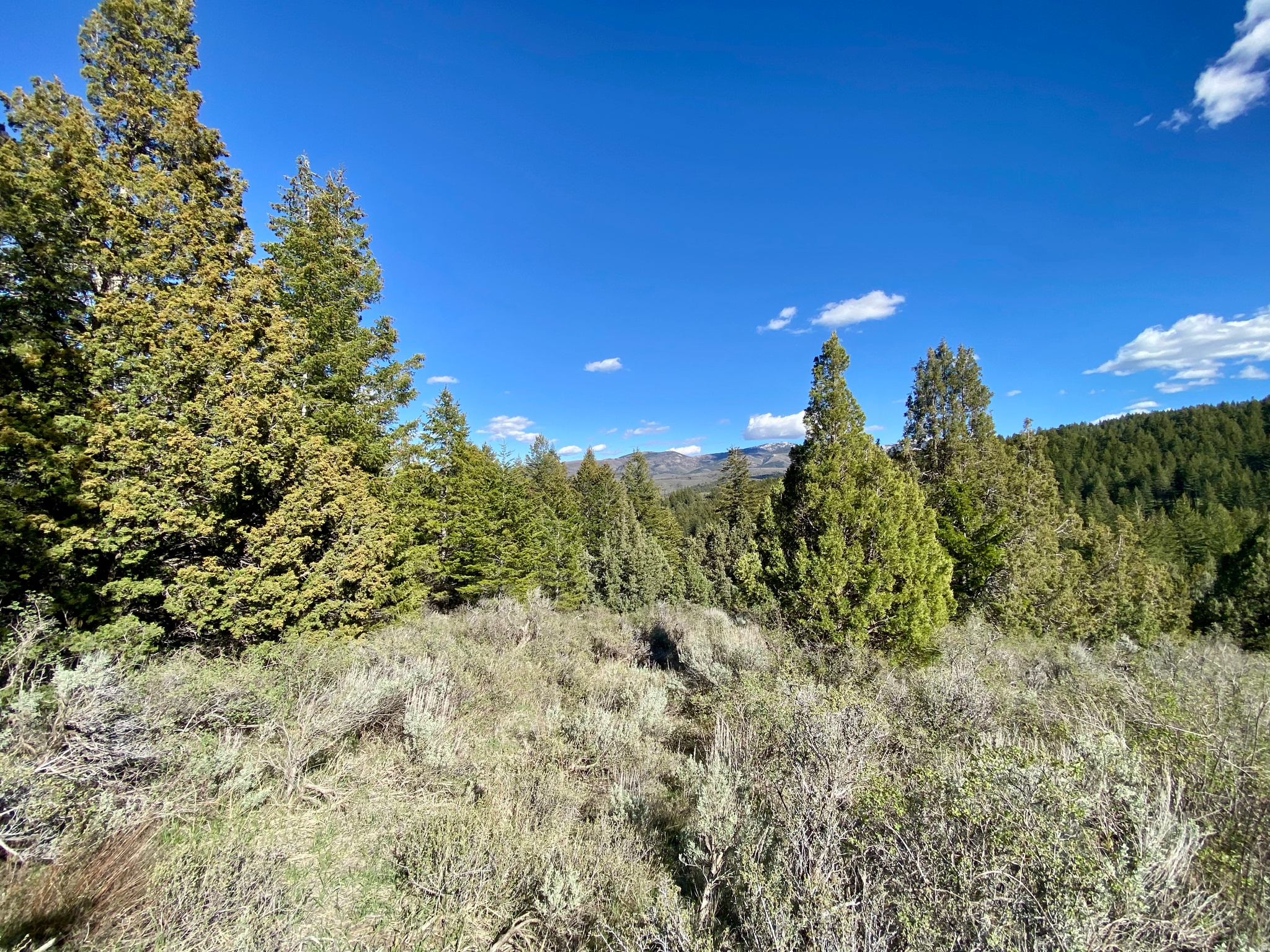 LAVA RANCH PHASE 5 - Land