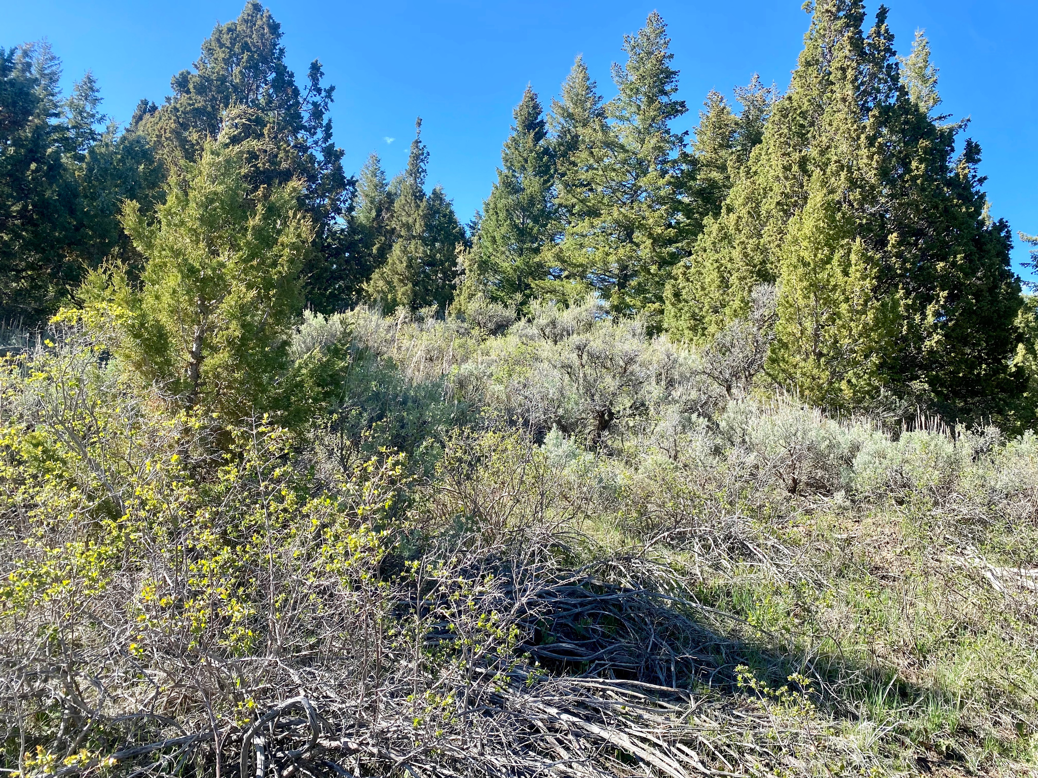 LAVA RANCH PHASE 5 - Land