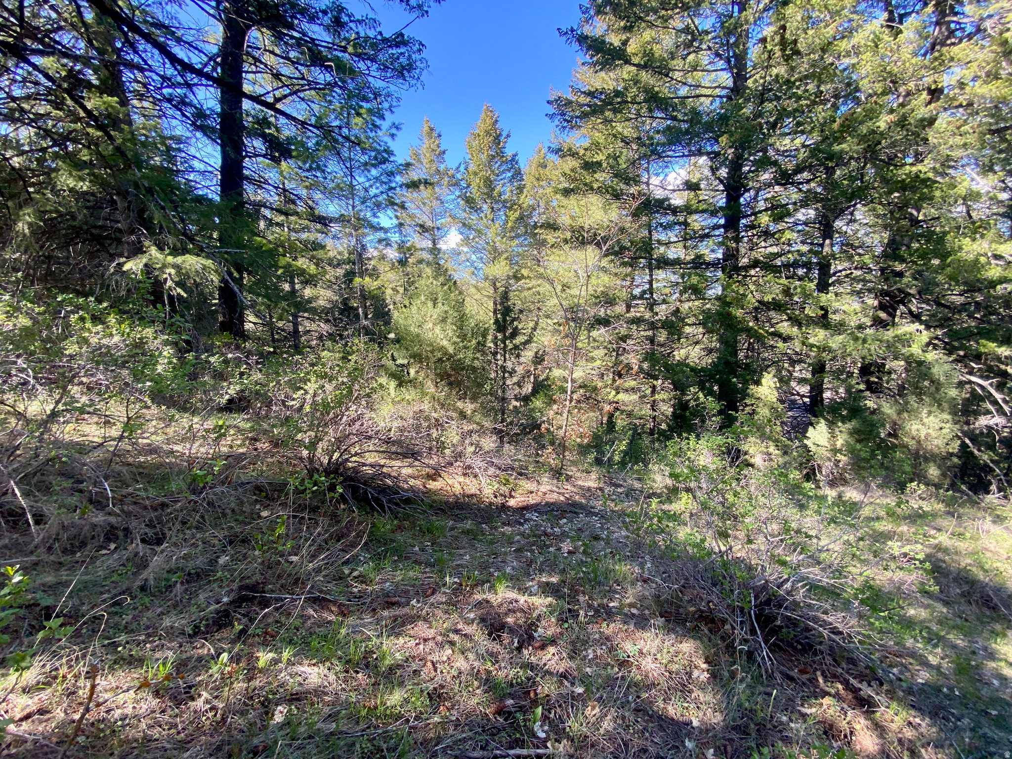 LAVA RANCH PHASE 5 - Land