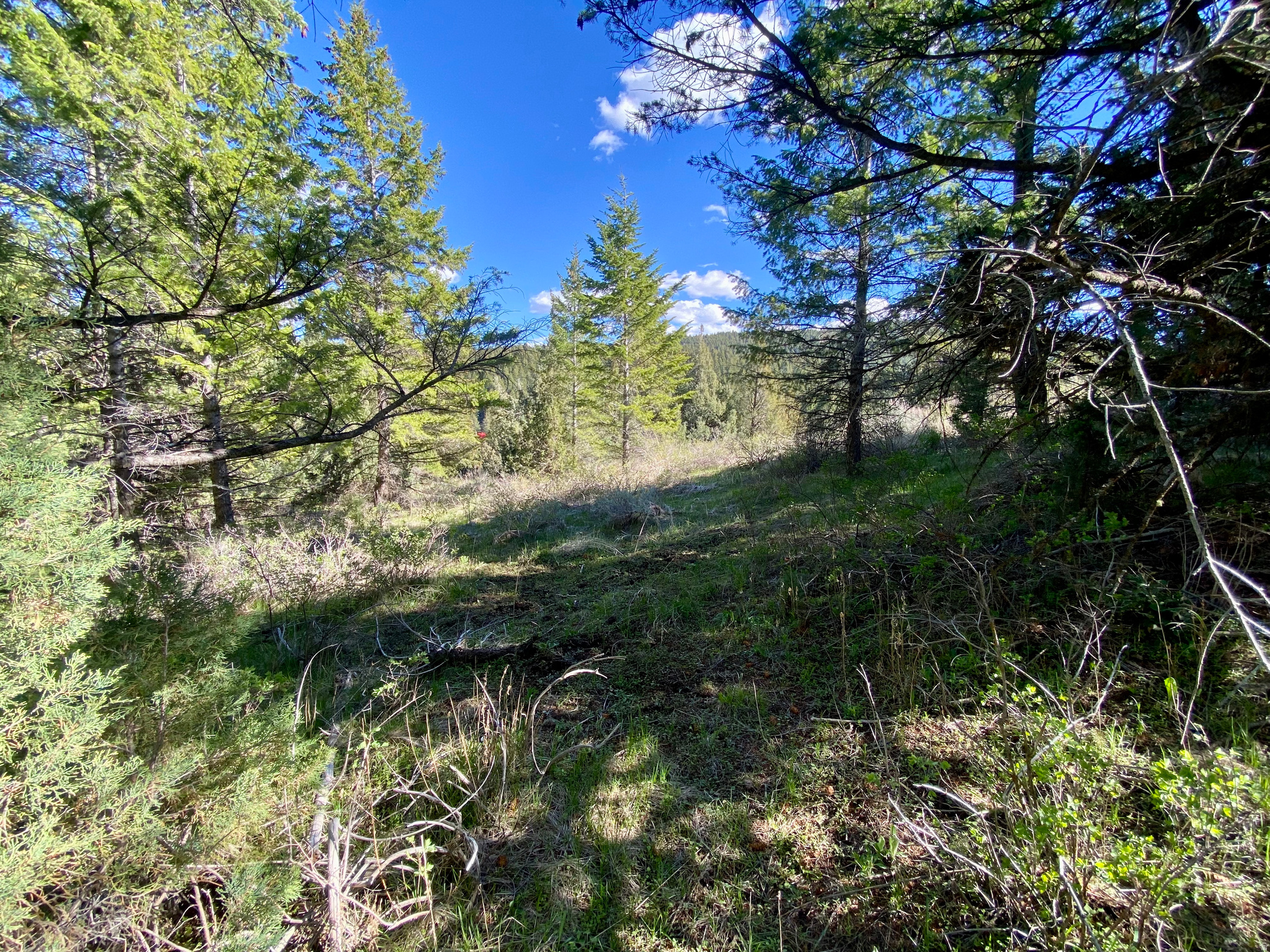 LAVA RANCH PHASE 5 - Land