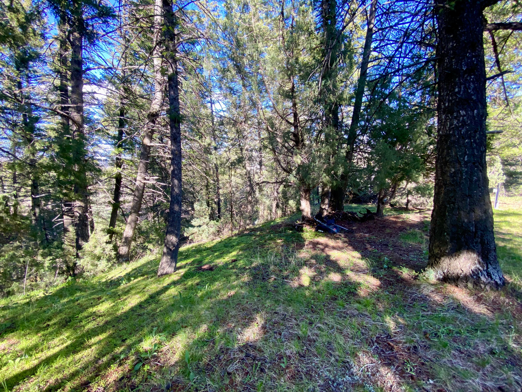 LAVA RANCH PHASE 5 - Land