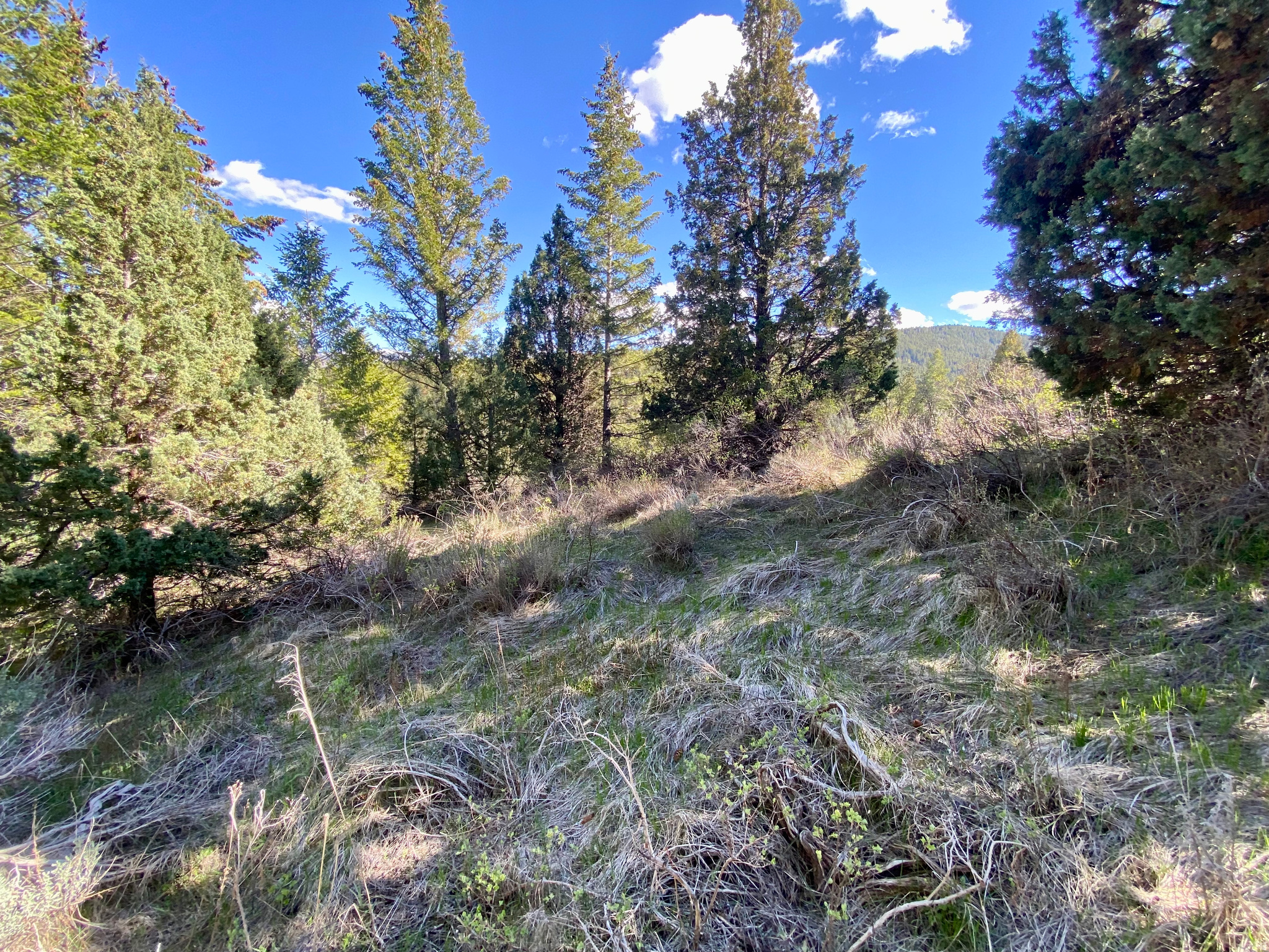 LAVA RANCH PHASE 5 - Land