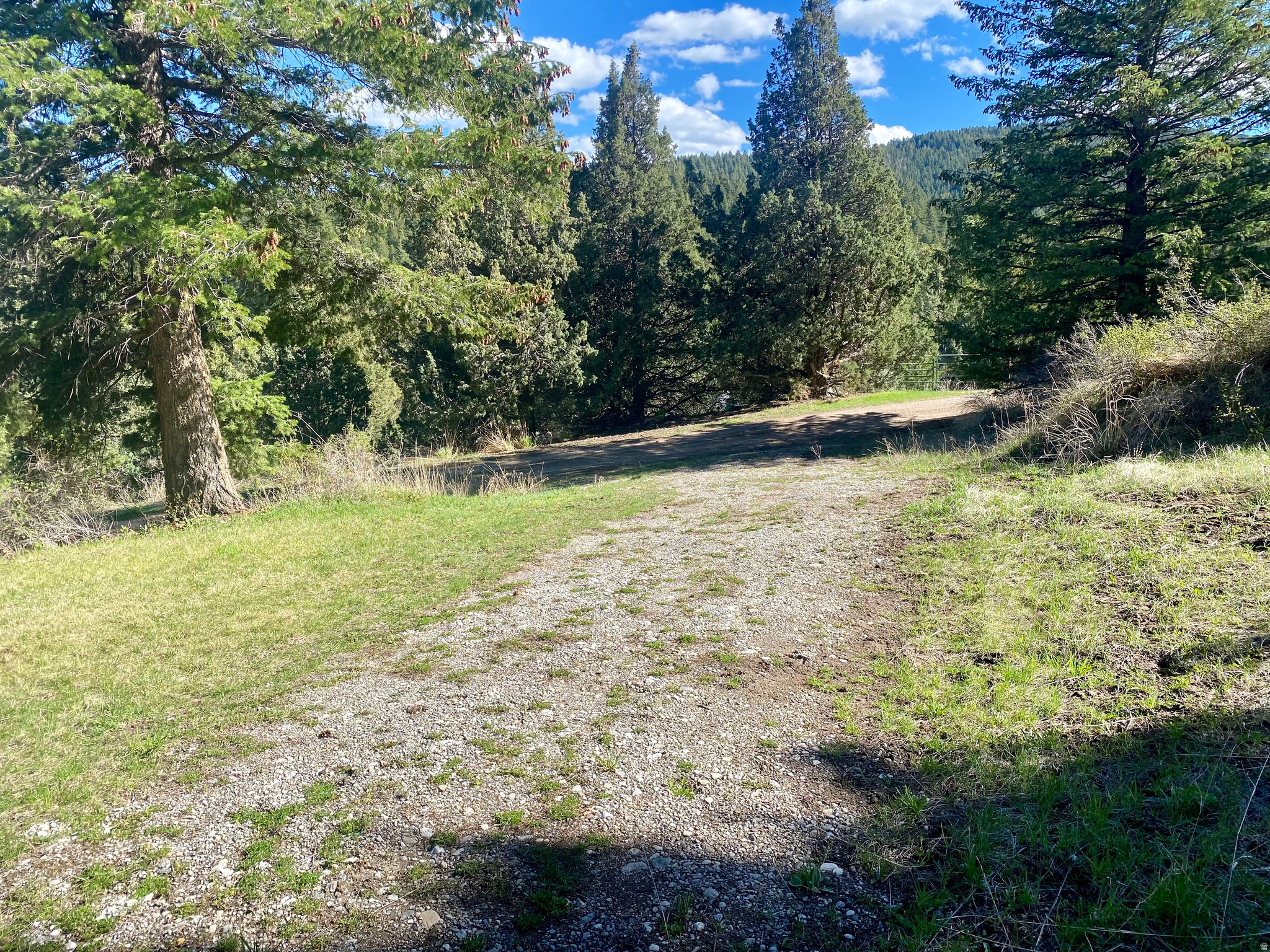 LAVA RANCH PHASE 5 - Land