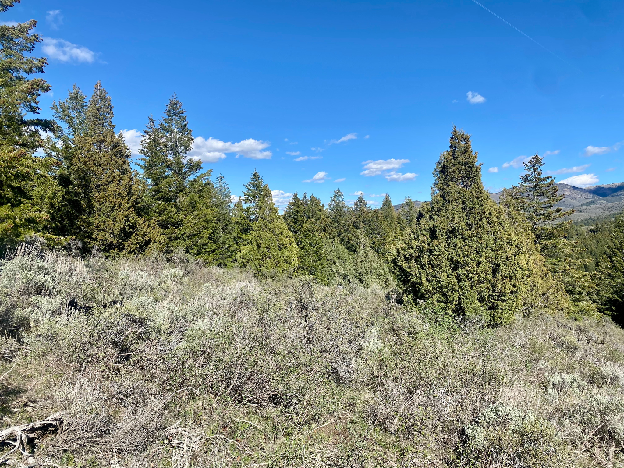 LAVA RANCH PHASE 5 - Land