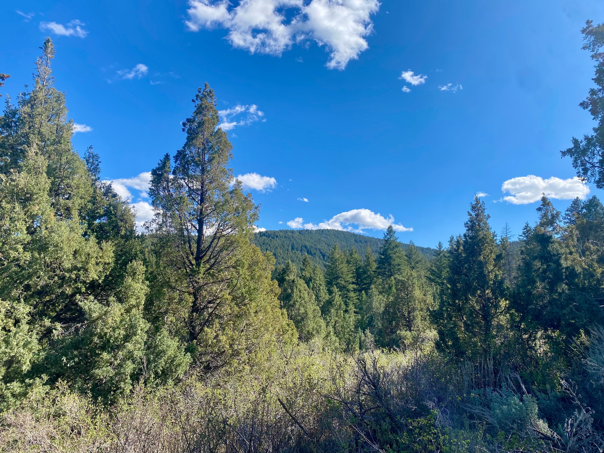 LAVA RANCH PHASE 5 - Land