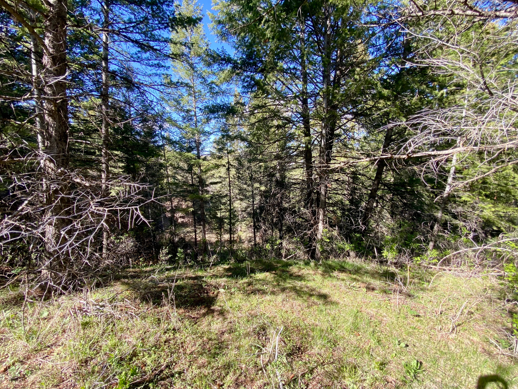 LAVA RANCH PHASE 5 - Land