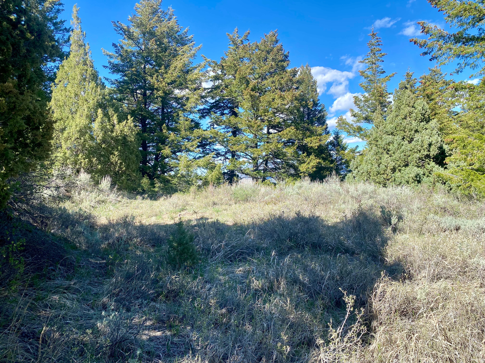 LAVA RANCH PHASE 5 - Land