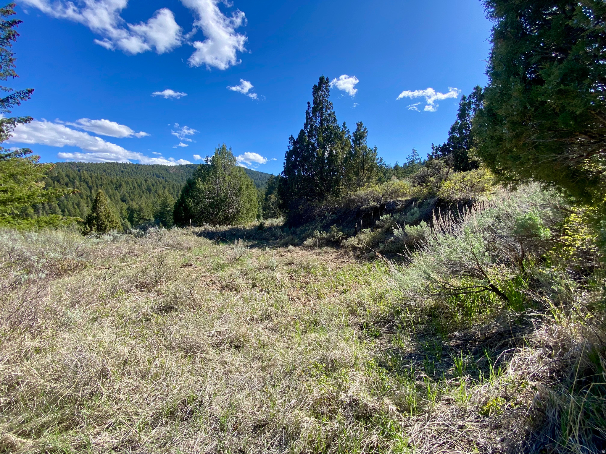 LAVA RANCH PHASE 5 - Land